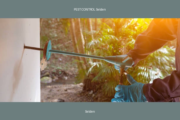 PEST CONTROL Selden